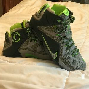 Lebron 12 Dunkmaster Size 11